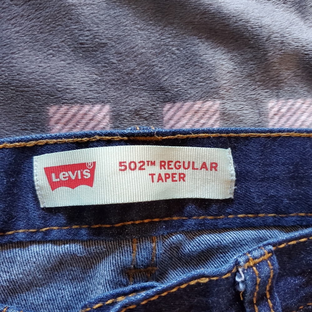 Levis - Picture 2 of 6